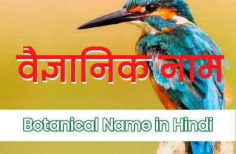 Botanical Names in Hindi