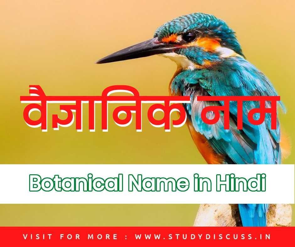 Botanical Names in Hindi