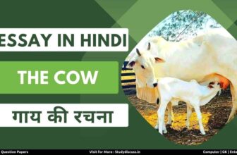 Cow Essay in Hindi | गाय पर निबंध