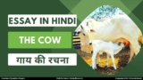 The Cow Essay in Hindi – गाय पर निबंध 10लाइन और 500 शब्दों में