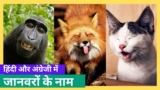 Animals Name in Hindi and English – जानवरों के नाम चित्र सहित